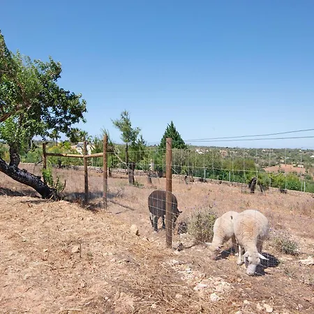 Vakantiehuis Monte Do Pataco Albufeira