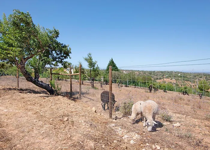 בית נופש Monte Do Pataco אלבופיירה